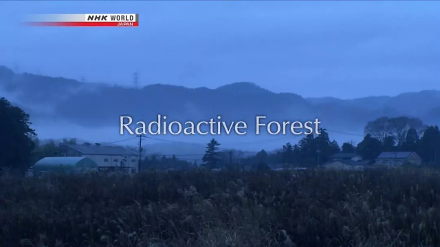 福岛辐射森林