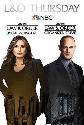 法律与秩序组织犯罪第2季