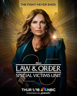 法律与秩序：特殊受害者第2十5季