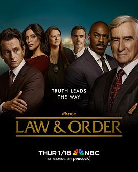 法律与秩序第2十3季